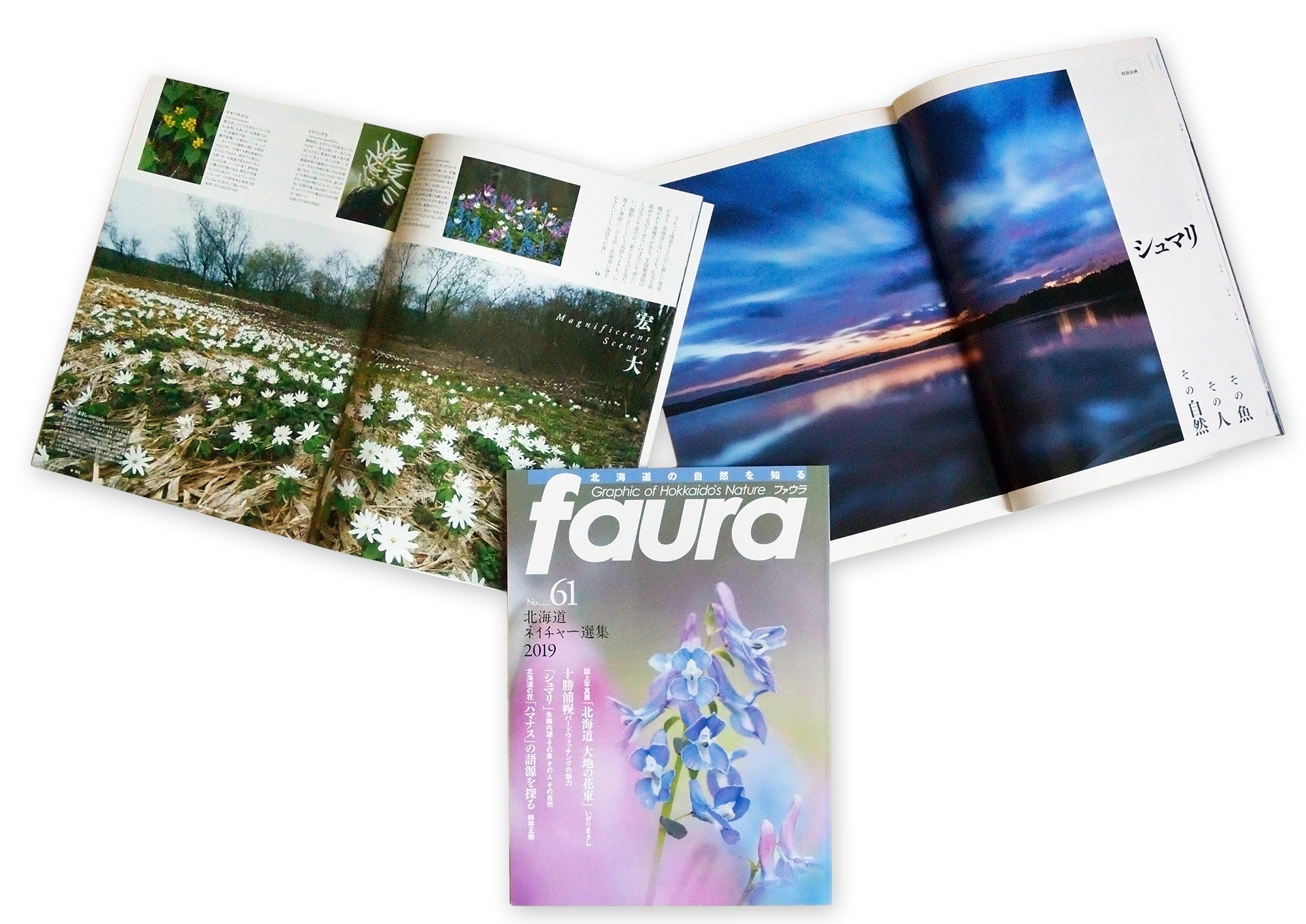 北海道の自然を伝える写真雑誌 faura (ファウラ)